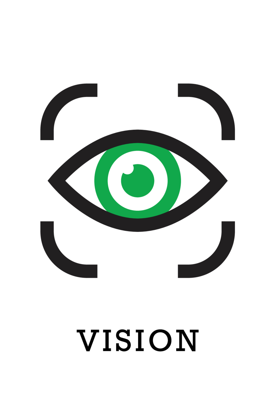 Vision